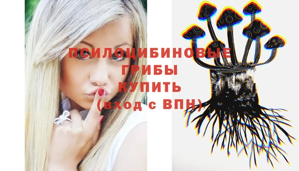 амф Бугульма
