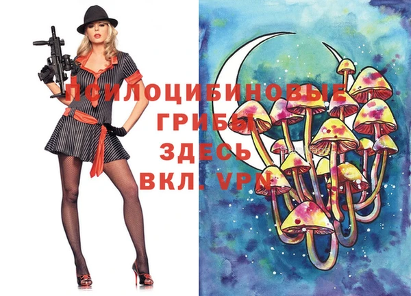 прущая мука Новодвинск