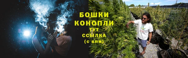 прущая мука Новодвинск