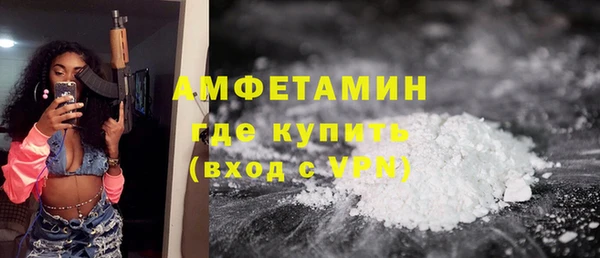 прущие грибы Нягань