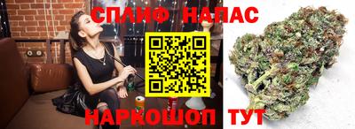 спиды Будённовск
