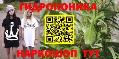 спиды Будённовск