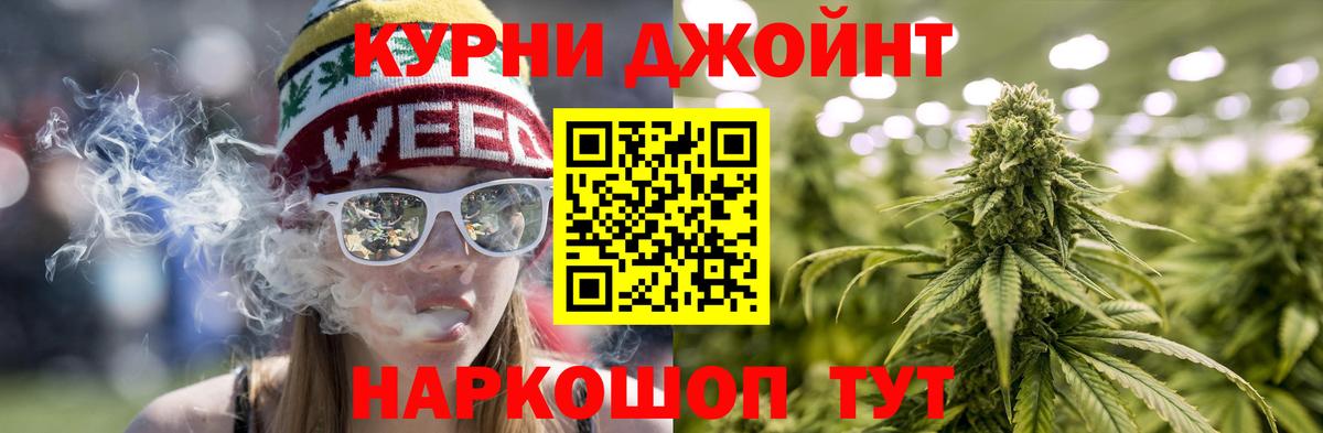 Котовск  Конопля семена  Марихуана конопля  Конопля Bruce Banner  Вход с VPN 